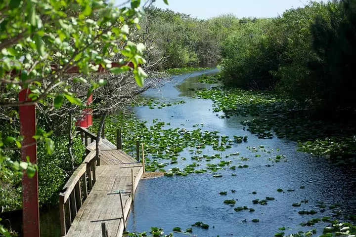 Miami Everglades Experience Airboat Ride, Wildlife Show, and Bus Transfer - Second Medium