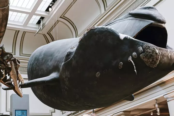 Smithsonian Natural History + American History - Exclusive Tour