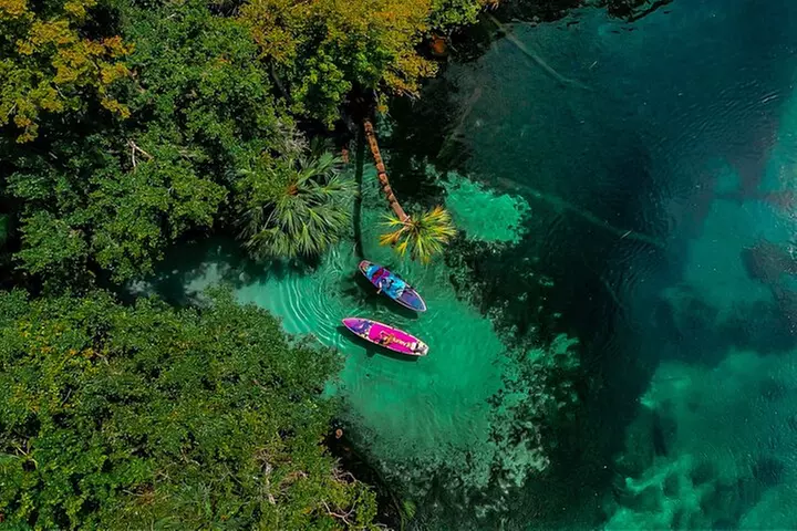 Rainbow Springs Paddle Board & Kayak Adventure