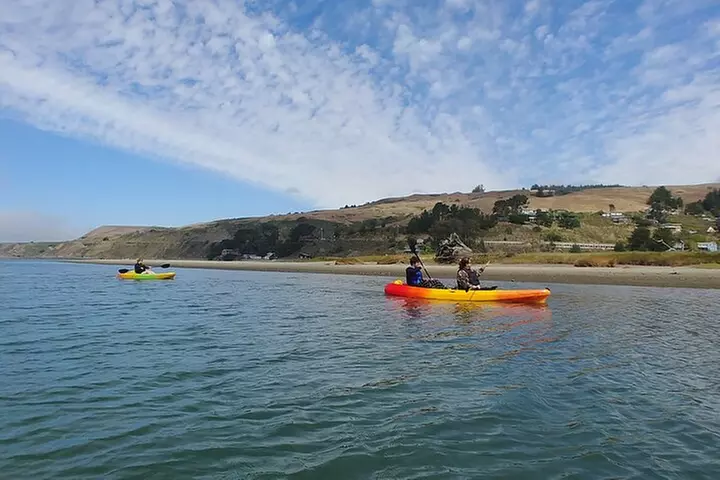 Russian River Kayak Tour at the Beautiful Sonoma Coast