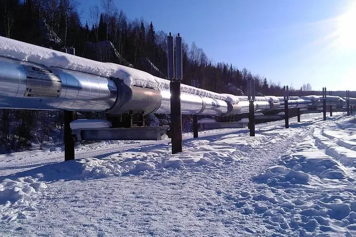 Arctic Circle and Northern Lights Tour from Fairbanks