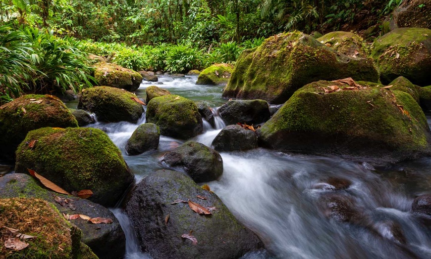 Image 8: ✈ COSTA RICA | San José - Au Cœur de la Nature : Jungle, Plages et ...