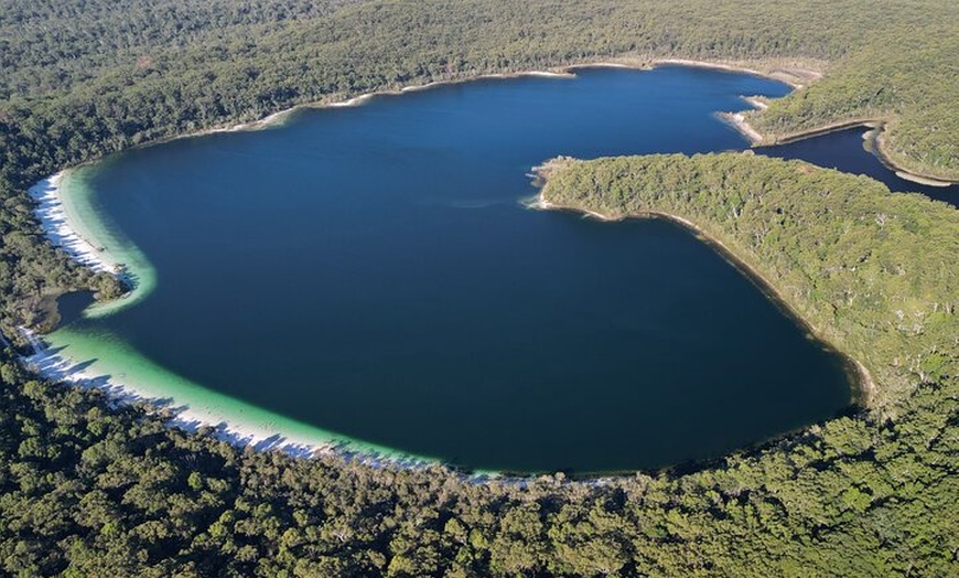 Image 23: Dingos 2 Day K'Gari (Fraser Island) 4WD Tag-Along Tour