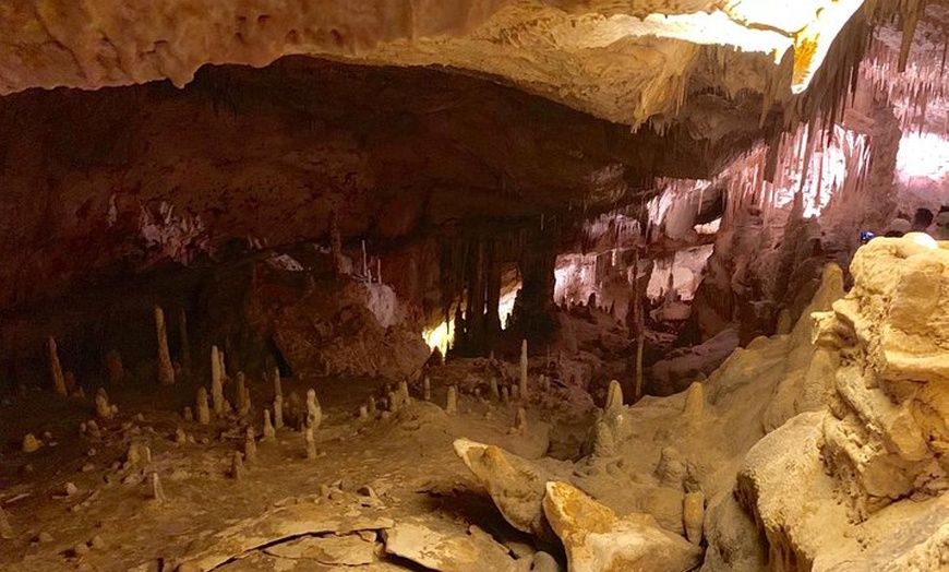 Image 10: Excursión de día completo a las cuevas dels Hams y Drach con Puerto...