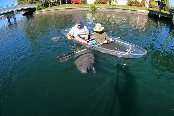 Clear Kayak Manatee Ecotour of Crystal River