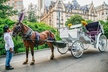 Official Private New York City Central Park Horse Carriage Ride Since 1965™ - Second Medium