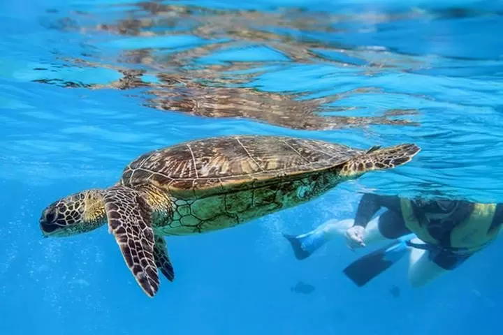 Ko Olina Catamaran Sail and Snorkel