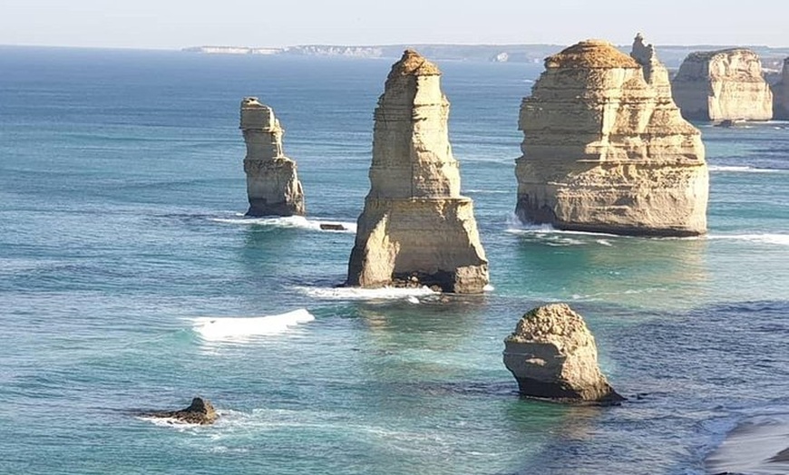 Image 8: Great Ocean Road 12 Apostles kangaroo & koala tour