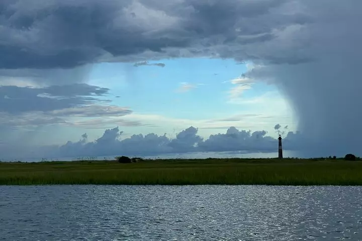 Private Charleston Dolphin and Eco Boat Tour