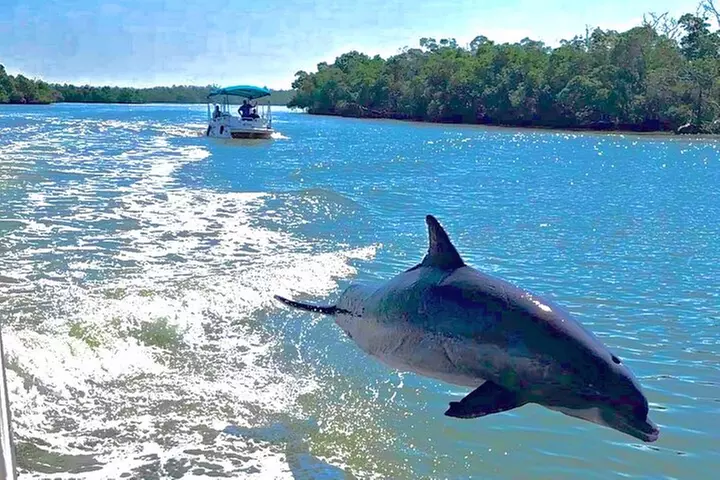 Manatee, Dolphin and 10,000 Islands Sunset Cruise!