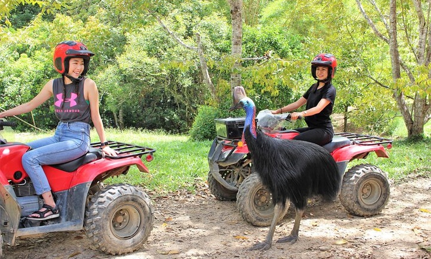 Image 2: 1 Hour Rainforest Quad Bike Tour in Kuranda