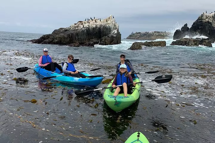 Laguna Beach Open Ocean Kayaking Tour with Sea Lion Sightings