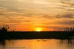 Corroboree Billabong Wetland Cruises - 2 hour Sunset Cruise - Image 5