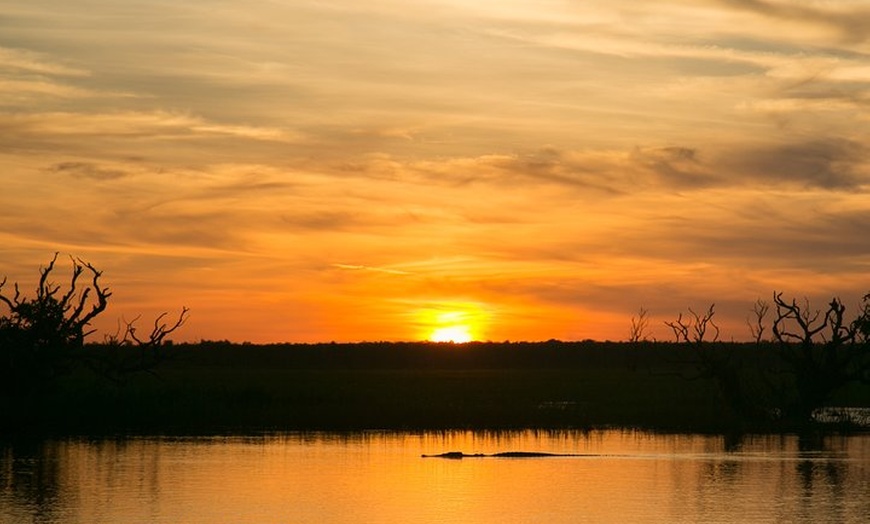 Image 5: Corroboree Billabong Wetland Cruises - 2 hour Sunset Cruise