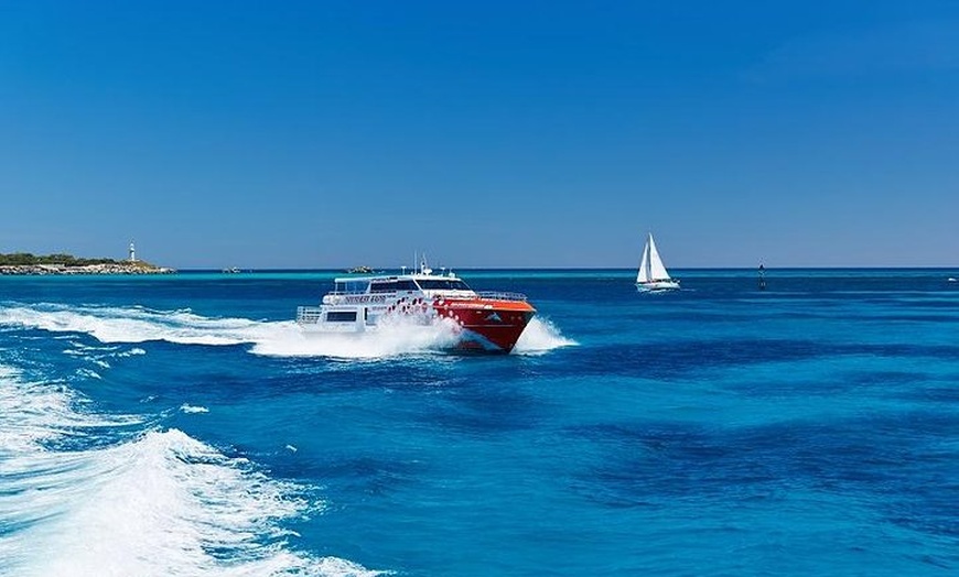 Image 4: Rottnest Island Round-Trip Ferry from Perth