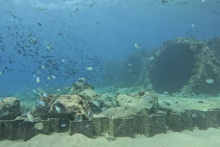 SCUBA Dive at Electric Beach with Photos -No Certification Needed