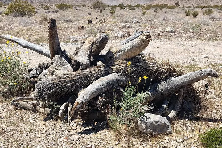Las Vegas UTV Tour