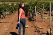 8-Hour Exclusive Wine Tour Experience for up to 6 Guests / Napa-Sonoma - Second Medium