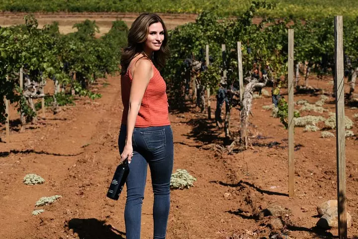 8-Hour Exclusive Wine Tour Experience for up to 6 Guests / Napa-Sonoma