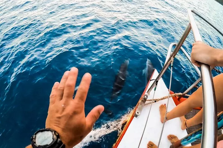 Full-Day Whitsunday Sail and Snorkel Adventure with Lunch