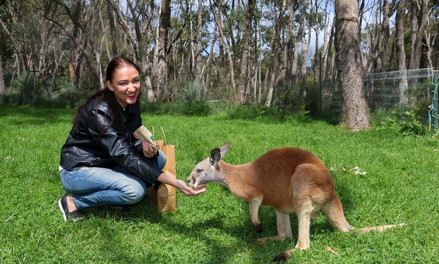 Image 9: Cleland Wildlife Park Experience - from Adelaide including Mt Lofty...