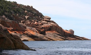 Wineglass Bay Cruises