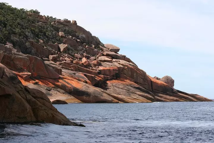 Wineglass Bay Cruise from Coles Bay - Image 6