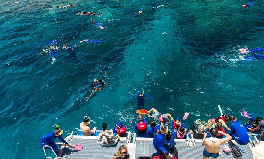 Image 22: Great Barrier Reef Snorkeling and Diving Cruise from Cairns