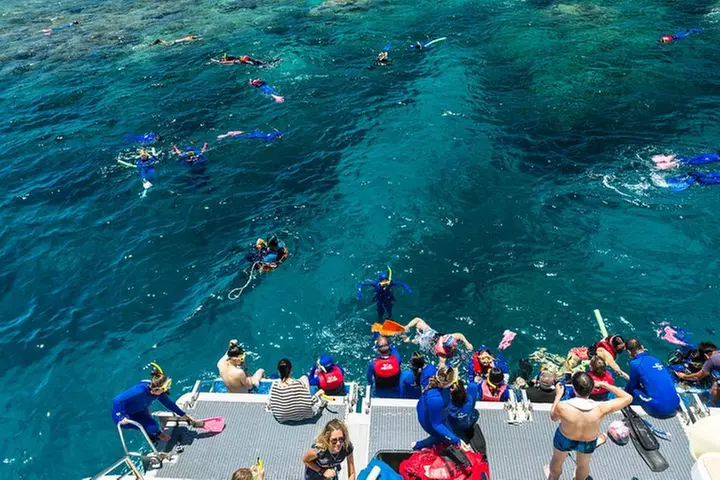 Great Barrier Reef Snorkeling and Diving Cruise from Cairns