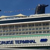 Image 2: Southampton Cruise Terminals to London Private Arrival Transfer