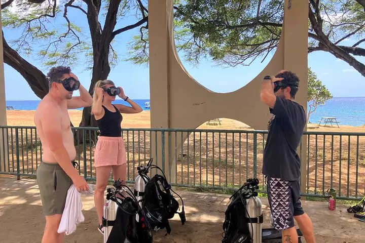 SCUBA Dive at Electric Beach with Photos -No Certification Needed