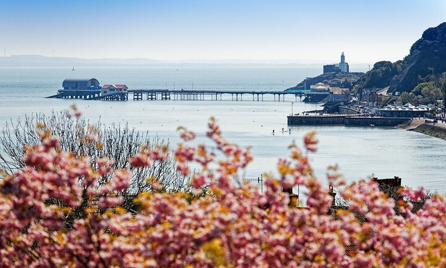Image 2: From Cardiff: Golden Gower Coast, Swansea & Mumbles Day Tour