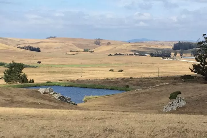 Cow Heaven: An Agricultural Self-Guided Driving Tour