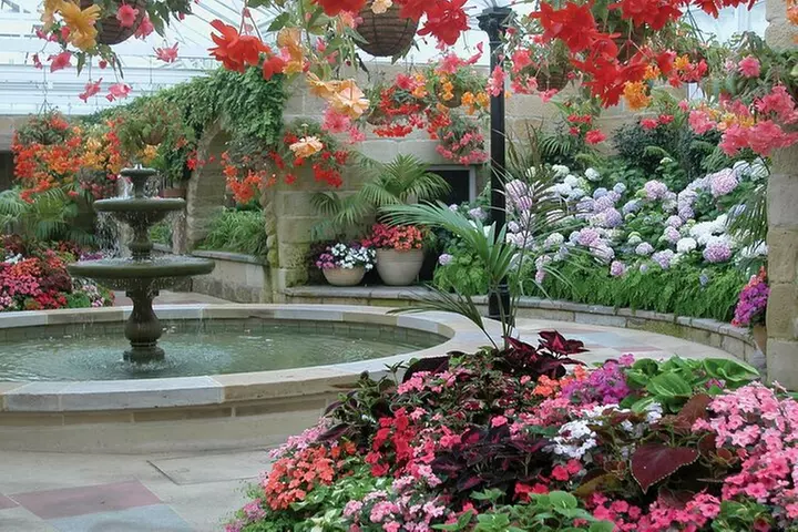 Hobart City Sightseeing Tour including MONA Admission