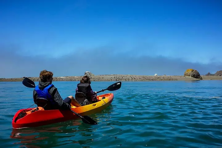 Russian River Kayak Tour at the Beautiful Sonoma Coast