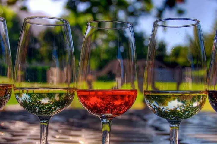 Long Island Winery Tour