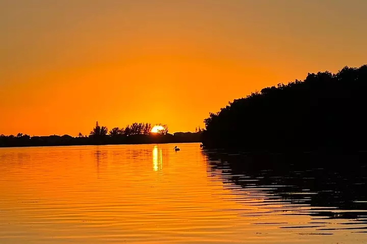 Sunset Kayaking with Dolphins