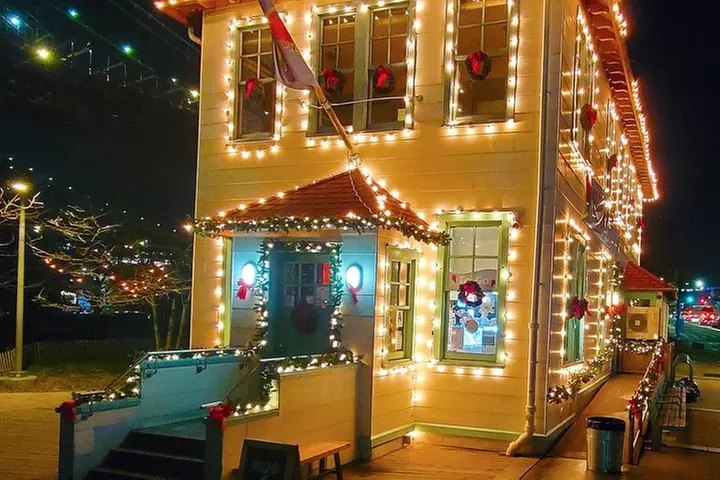 Dyker Heights Christmas Lights Guided Tour