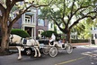 Private Daytime Horse-Drawn Carriage Tour of Charleston - Second Medium
