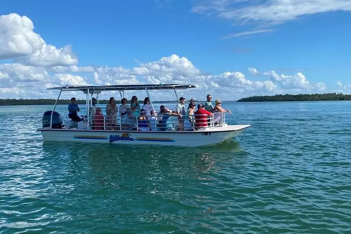 Marco Island Dolphin Sightseeing Tour