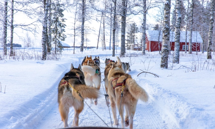 Image 6: ✈ LAPONIE | Rovaniemi - Rêves Arctiques : Expérience Santa et Igloo...