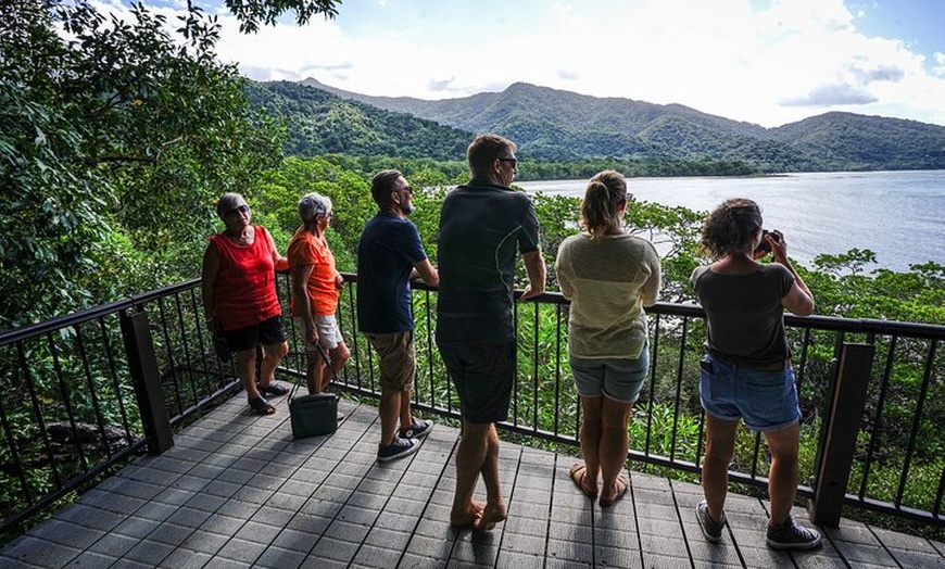 Image 15: Daintree, Cape Tribulation & River Cruise from Port Douglas