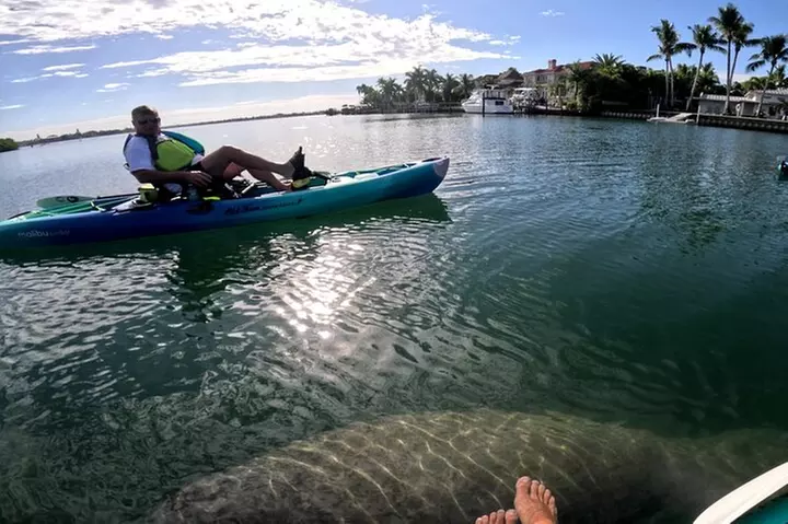 Lido Key Pedal Kayak Tour in Sarasota
