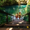 Image 7: Small Group 3 Waterfall Cenotes Experience
