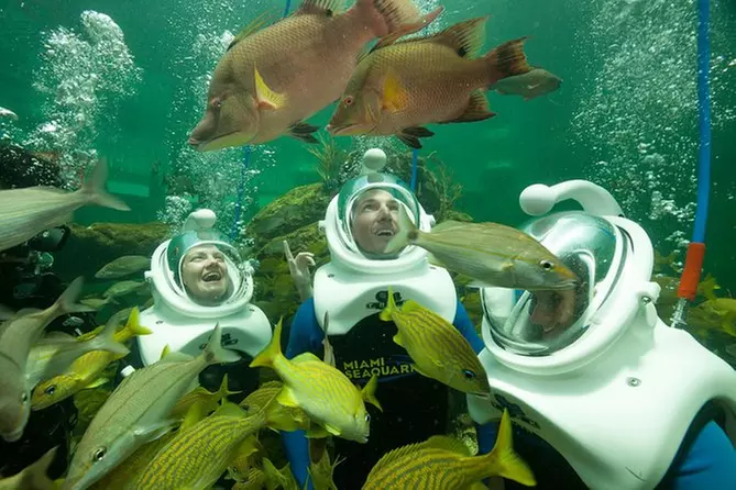 Underwater Helmet-Diving Experience at the Miami Seaquarium - Primary Image