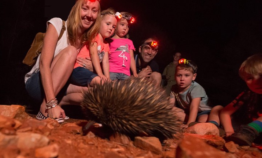 Image 6: Alice Springs Desert Park Nocturnal Tour