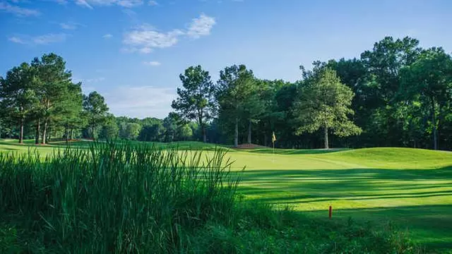 Online Booking - Round of Golf at RiverPines Golf Course - Primary Image