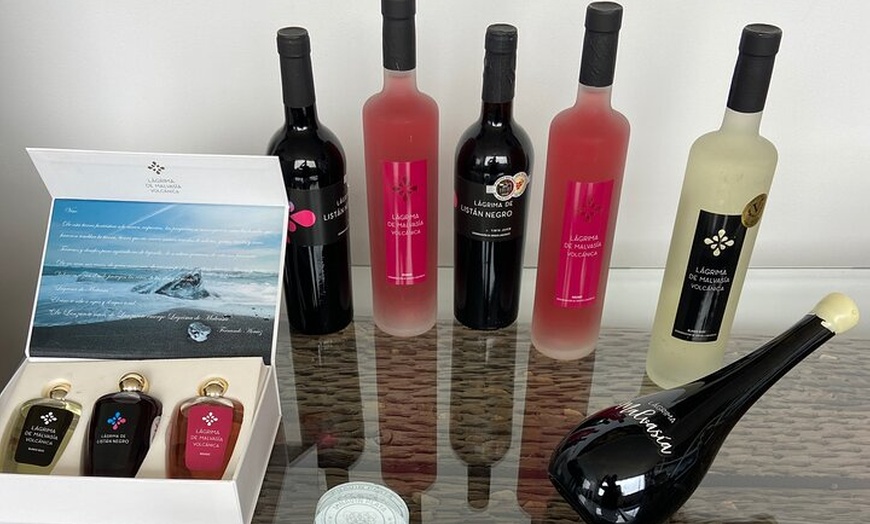 Image 6: Tour gastronómico de vino y volcanes