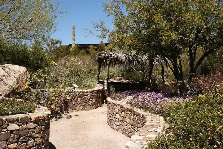 Saguaro National Park Self-Guided Driving Audio Tour