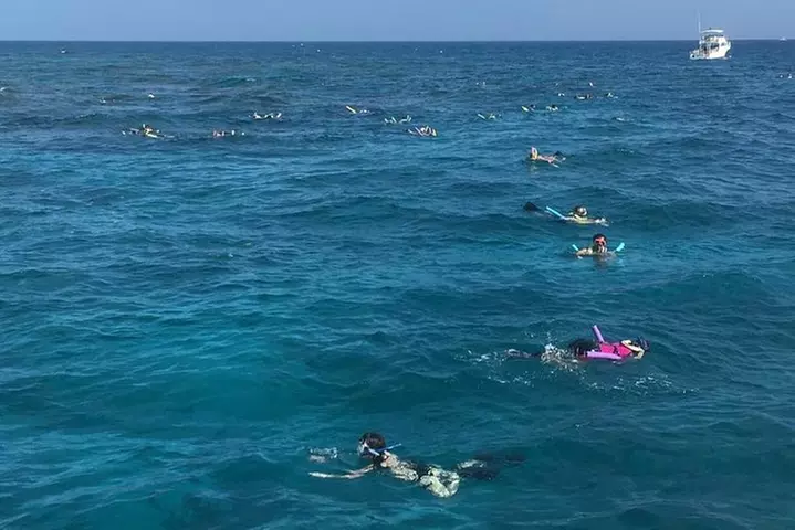 Key West Afternoon Snorkel Sail with Unlimited Cocktails!